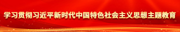 操操逼逼操操学习贯彻习近平新时代中国特色社会主义思想主题教育