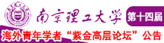 大鸡吧狠狠操我啊啊啊啊啊视频南京理工大学第十四届海外青年学者紫金论坛诚邀海内外英才！